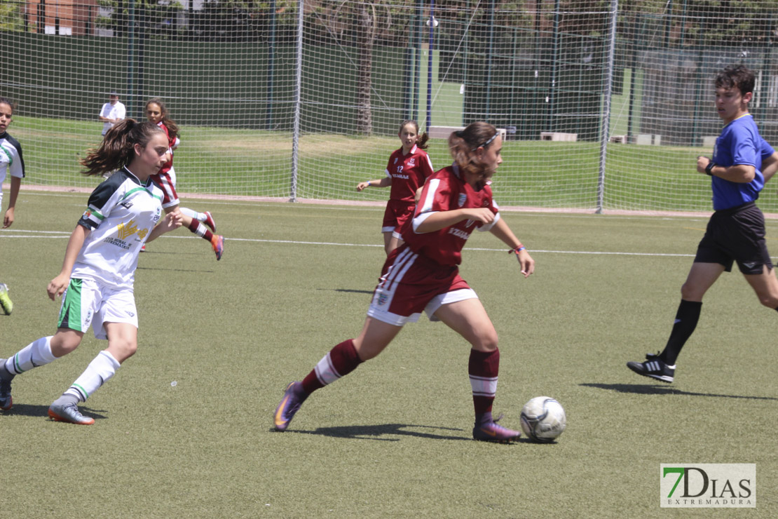 Imágenes de la final de la VII Women&#39;s Cup