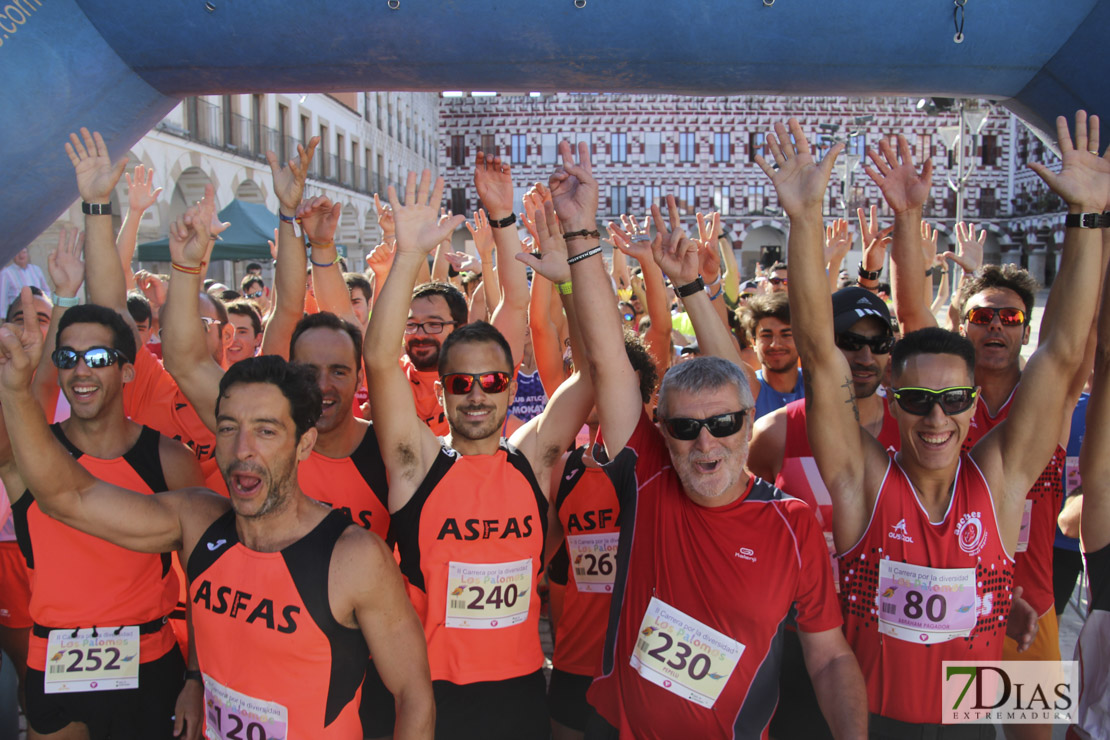 Imágenes de la II Carrera por la Diversidad Palomos 2017