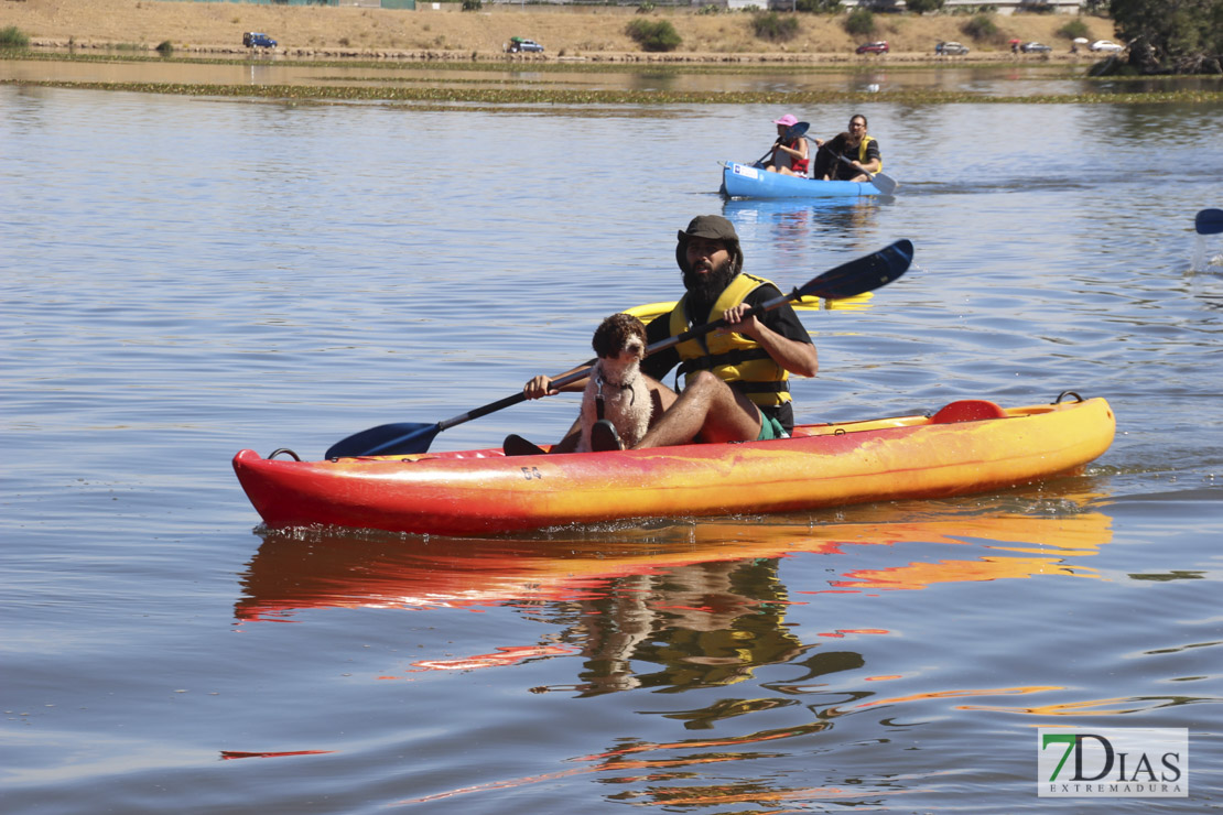 Imágenes de la II Travesía Canina en Badajoz