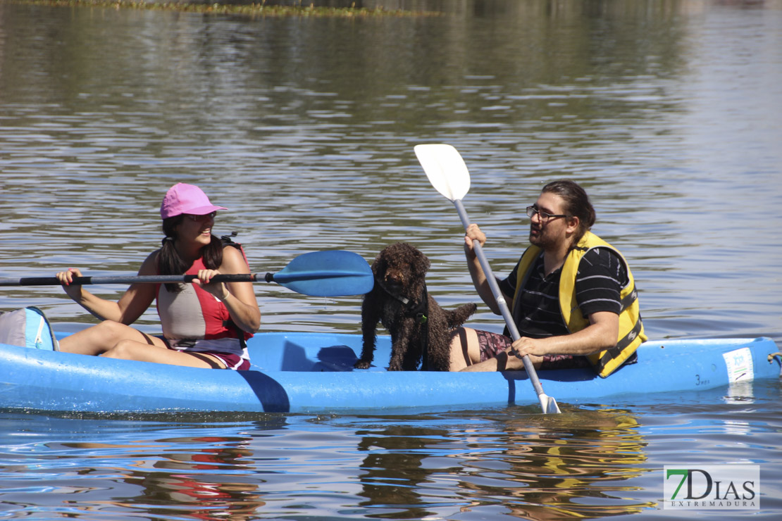 Imágenes de la II Travesía Canina en Badajoz
