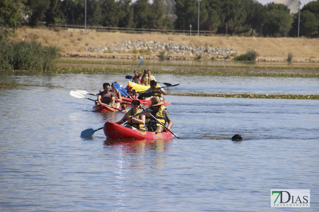 Imágenes de la II Travesía Canina en Badajoz