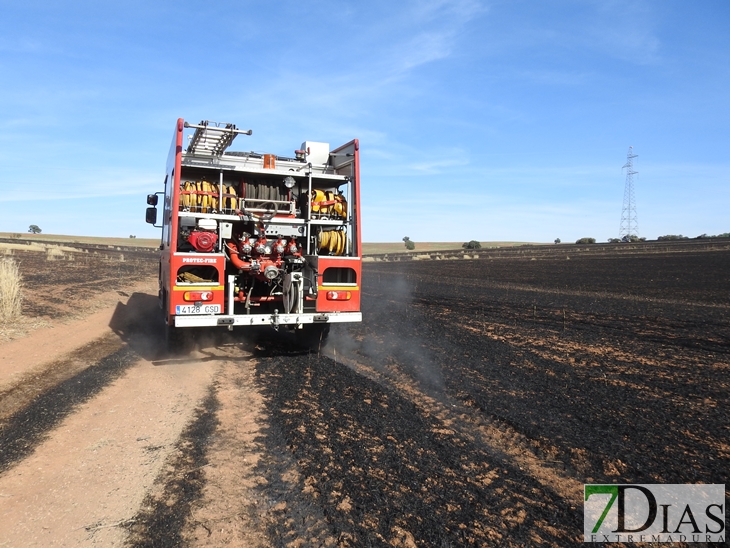 Un incendio arrasa 200 hectáreas de plantaciones en La Albuera