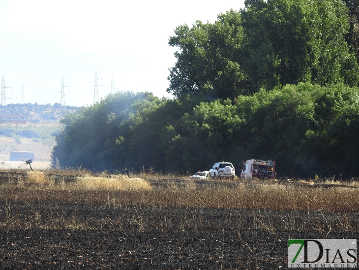 Un incendio arrasa 200 hectáreas de plantaciones en La Albuera