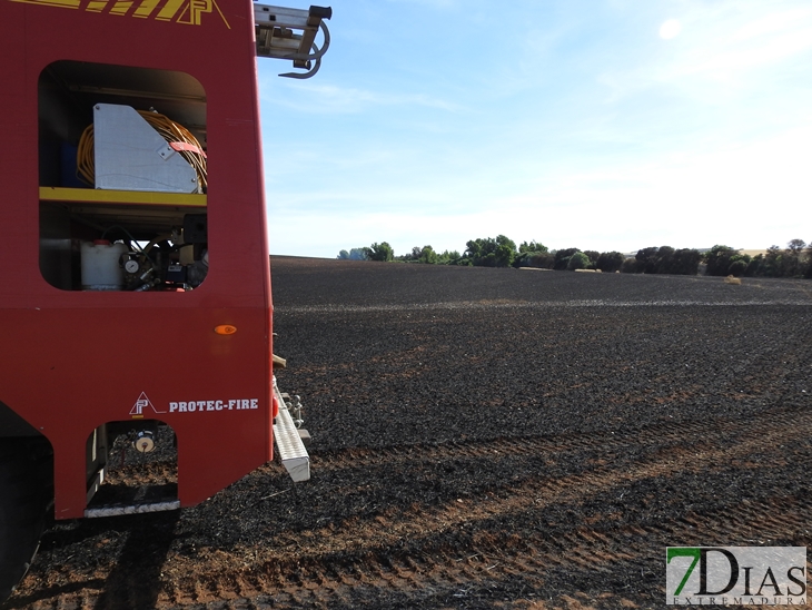 Un incendio arrasa 200 hectáreas de plantaciones en La Albuera