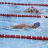 Imágenes del nacional de natación master en Badajoz I