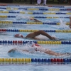 Imágenes del nacional de natación master en Badajoz I