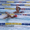 Imágenes del nacional de natación master en Badajoz I