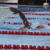 Imágenes del nacional de natación master en Badajoz I