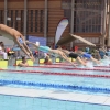 Imágenes del nacional de natación master en Badajoz I