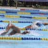 Imágenes del nacional de natación master en Badajoz I