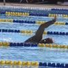 Imágenes del nacional de natación master en Badajoz I