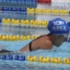 Imágenes del nacional de natación master en Badajoz II