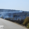 Gran dispositivo para sofocar un incendio en la vecina Elvas