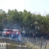 Gran dispositivo para sofocar un incendio en la vecina Elvas