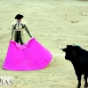 Imágenes de la primera corrida de toros de la Feria de San Juan en Badajoz