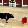 Imágenes de la primera corrida de toros de la Feria de San Juan en Badajoz