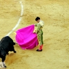 Imágenes de la segunda corrida de toros de la Feria de San Juan en Badajoz