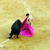 Imágenes de la segunda corrida de toros de la Feria de San Juan en Badajoz