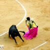 Imágenes de la segunda corrida de toros de la Feria de San Juan en Badajoz