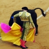 Imágenes de la segunda corrida de toros de la Feria de San Juan en Badajoz