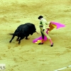 Imágenes de la segunda corrida de toros de la Feria de San Juan en Badajoz