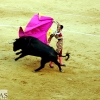 Imágenes de la segunda corrida de toros de la Feria de San Juan en Badajoz