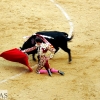 Imágenes de la segunda corrida de toros de la Feria de San Juan en Badajoz