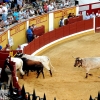 Imágenes de la segunda corrida de toros de la Feria de San Juan en Badajoz