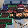 La Policía interviene frutas y colonias en el mercadillo de Badajoz