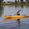 Imágenes de la II Travesía Canina en Badajoz