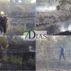 Imágenes del incendio en la Carretera de Sevilla (Badajoz)