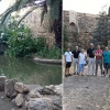 Colectivos de Badajoz: “Fragoso también se olvida del Parque de la Legión”