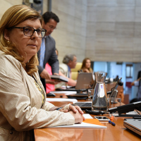 Cs insiste en que el Gobierno de Vara necesita remodelarse