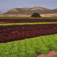 Interés general para el proyecto de regadío Tierra de Barros