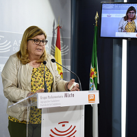 La Fiscalía pide que Domínguez (Cs) declare como investigada