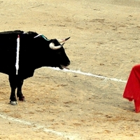 Un único trofeo para una tarde sin bravura
