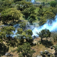 13 detenidos o investigados por incendios forestales en Cáceres