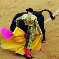 Imágenes de la segunda corrida de toros de la Feria de San Juan en Badajoz