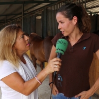 La equitación como forma de terapia