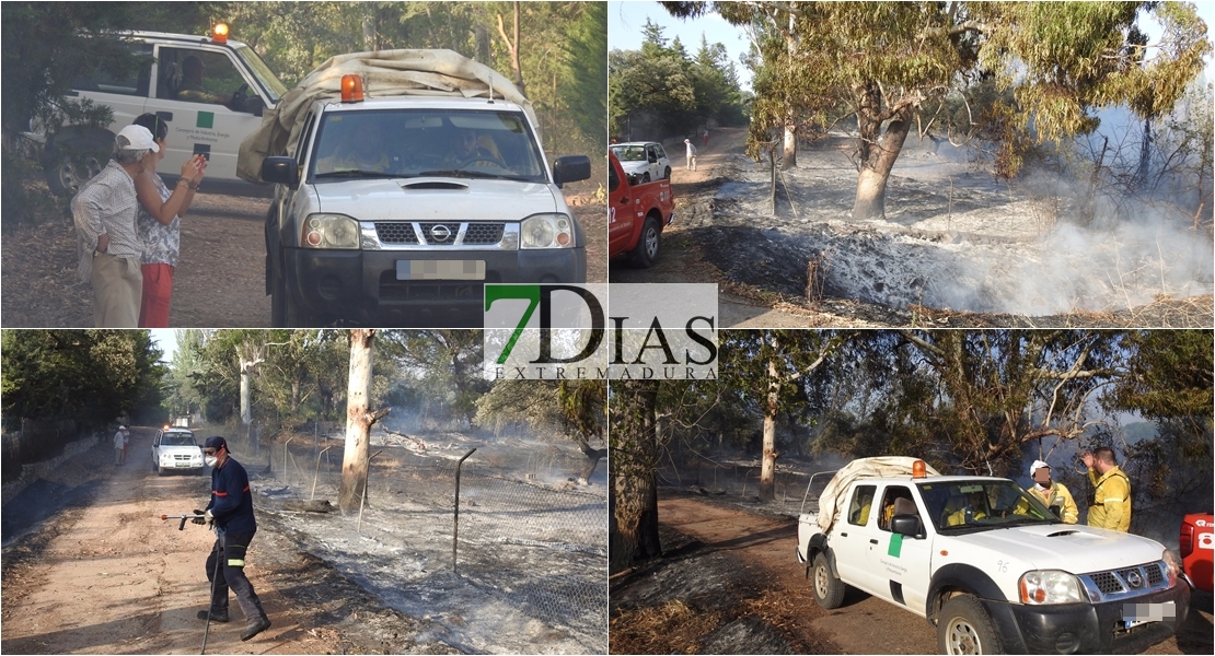 Imágenes del incendio en la Carretera de Sevilla (Badajoz)