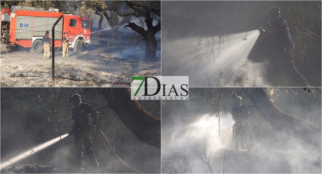 Imágenes del incendio en la Carretera de Sevilla (Badajoz)