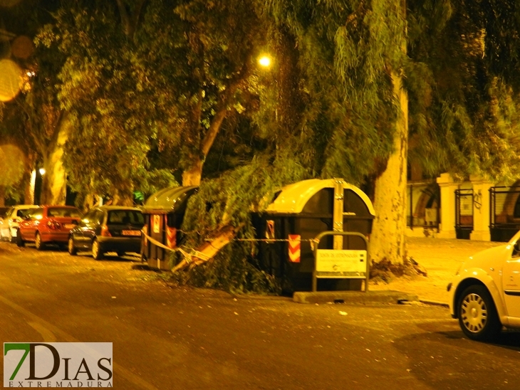 La tormenta dejó ayer desperfectos en Badajoz