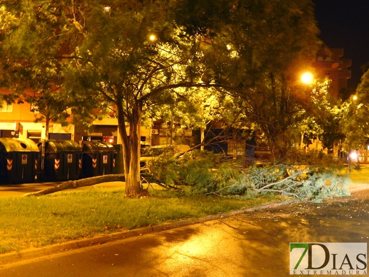 La tormenta dejó ayer desperfectos en Badajoz