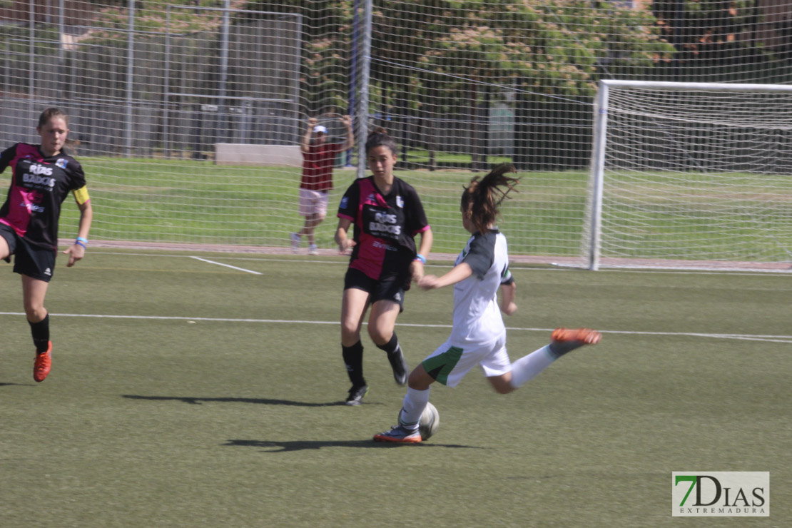 Imágenes de las semifinales de la VII Women&#39;s Cup