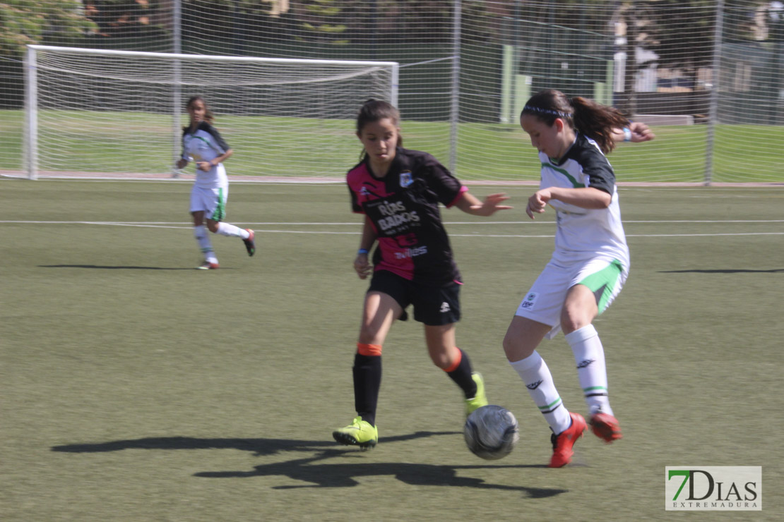 Imágenes de las semifinales de la VII Women&#39;s Cup