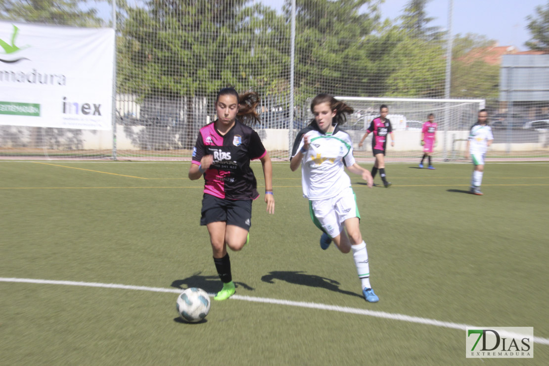 Imágenes de las semifinales de la VII Women&#39;s Cup