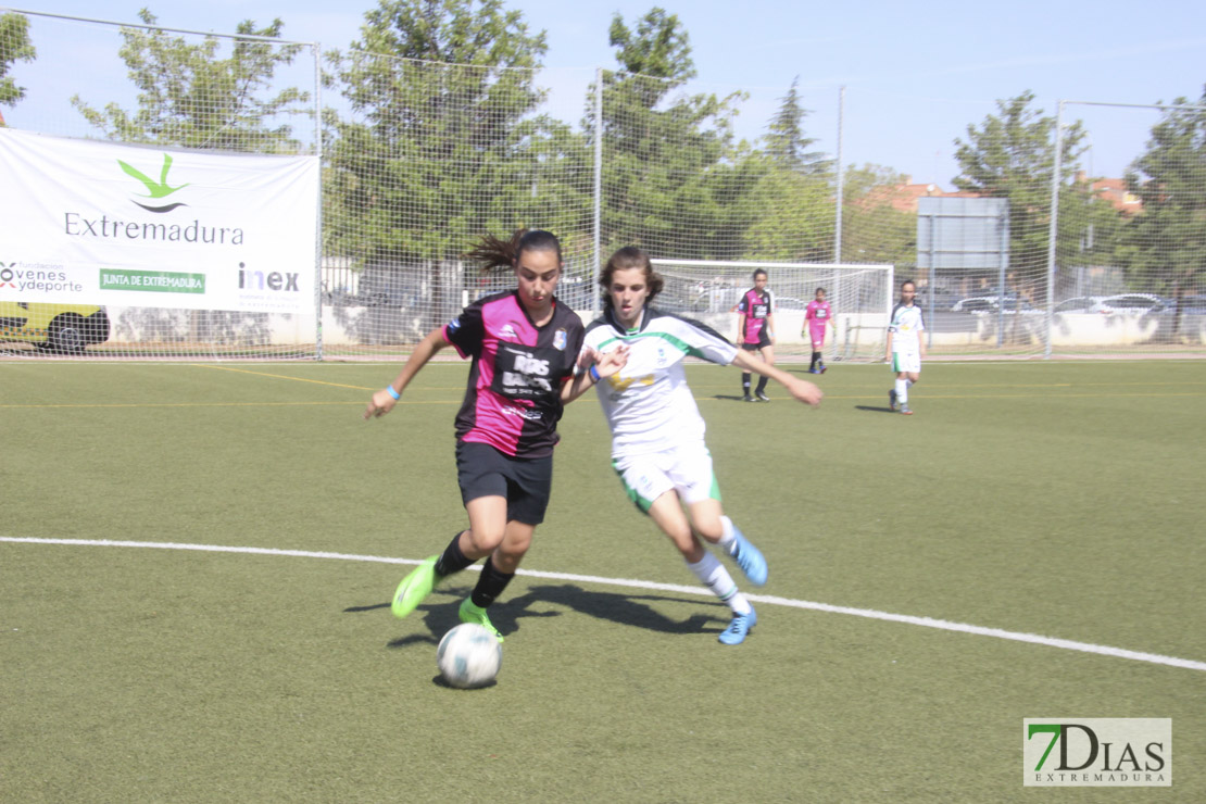 Imágenes de las semifinales de la VII Women&#39;s Cup