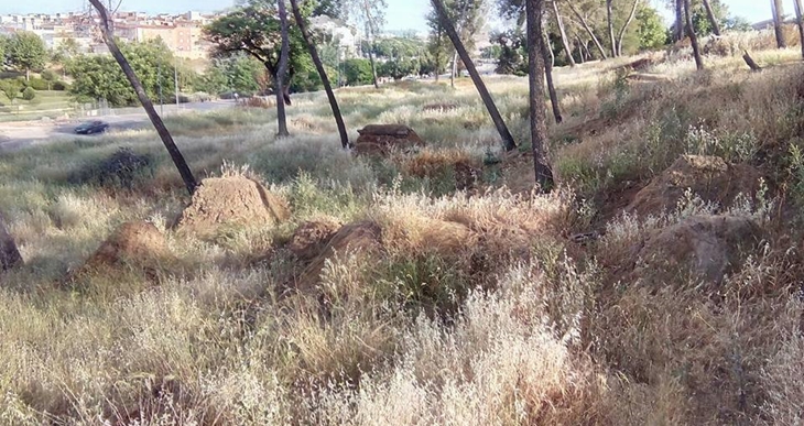 Colectivos de Badajoz: “Fragoso también se olvida del Parque de la Legión”