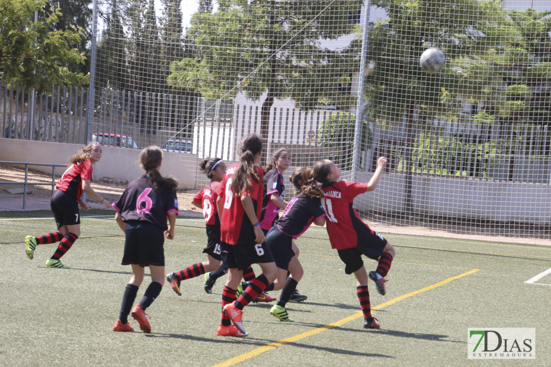Imágenes de la VII Women&#39;s Cup I
