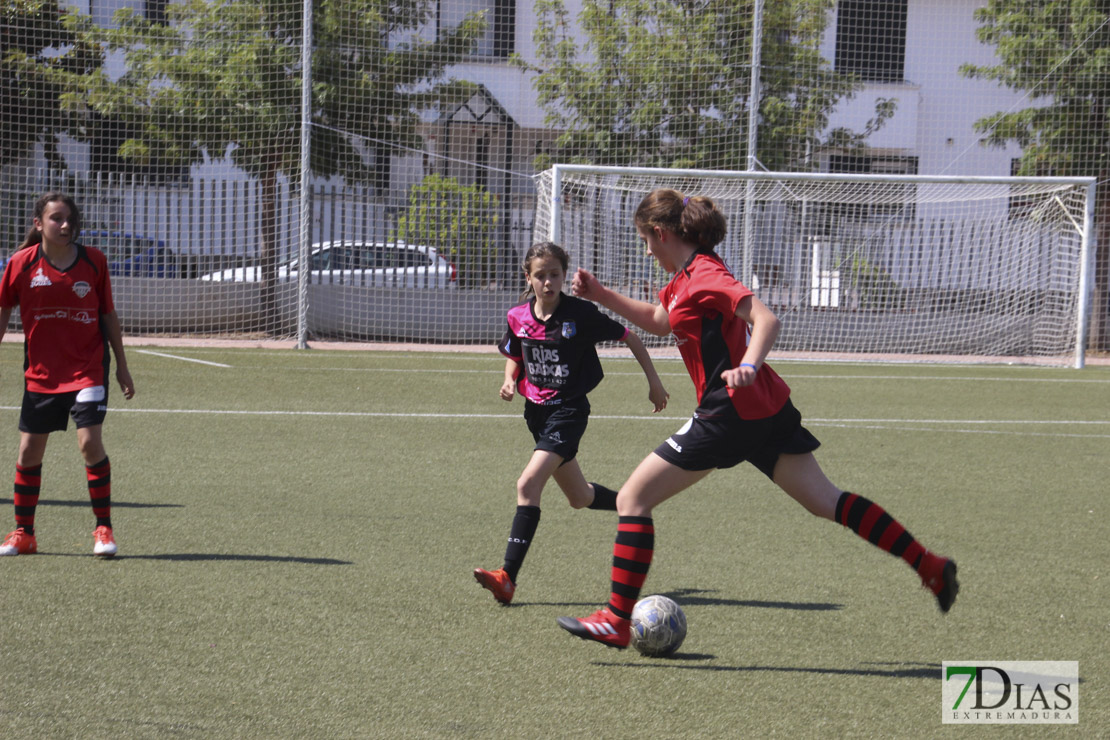 Imágenes de la VII Women&#39;s Cup I